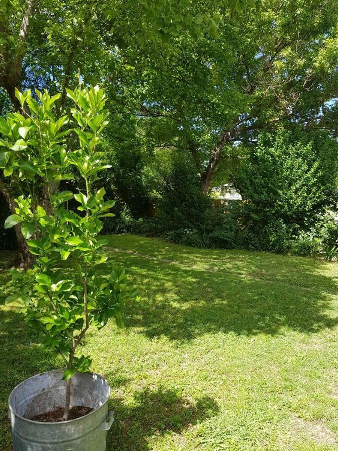 Cute On Byng - Walk To Town Holiday home *
